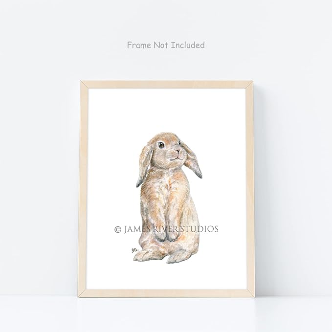 James River Studios Woodland Animal Nursery Prints Unframed Set of 4, Pick Your Baby Animals and Print Size, Original Watercolor Art Signed By Artist