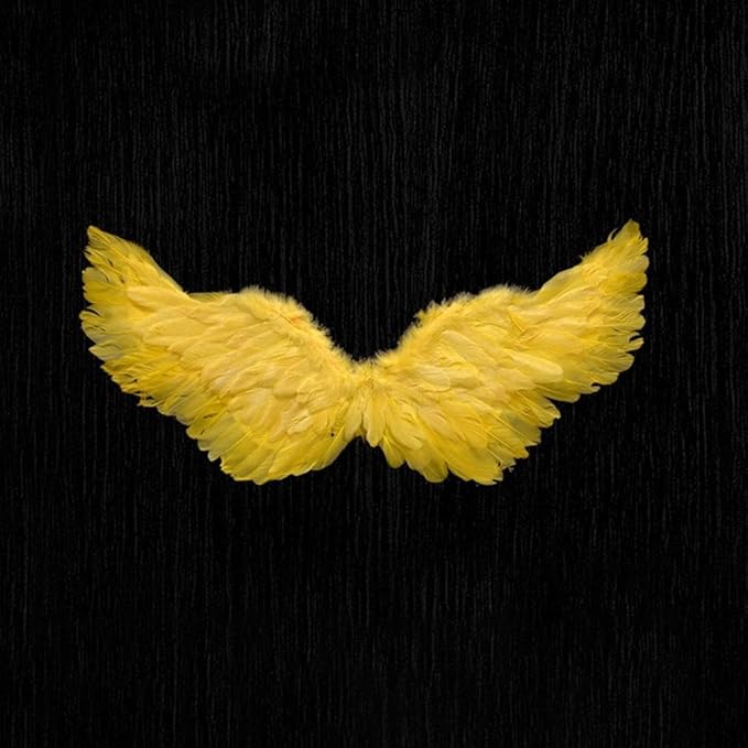 Angel Feather Wings, Lightweight Carnival Costume with Elastic Straps, Bright Color Cosplay Photography Props