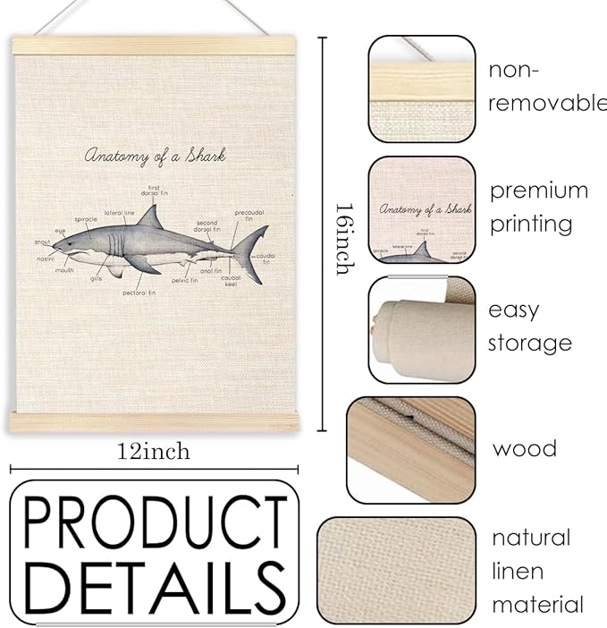 Ecezatik Anatomy of a Shark Poster Hanger Frame, Shark Wall Art, Shark Hanging Wall Decor for Classroom Nursery Boys Room, Beach Room Decor, Coastal Home Decor, Shark Gifts for Shark Lovers