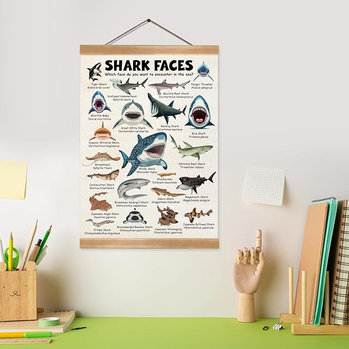 ZTGDA Shark Faces Posters, Sea Animals Sharks Posters Wall Art,Marine Sharks Decor,Ocean Educational Poster for Kid Classroom Decorations Kids Room Home Nursery Playroom (Shark face)