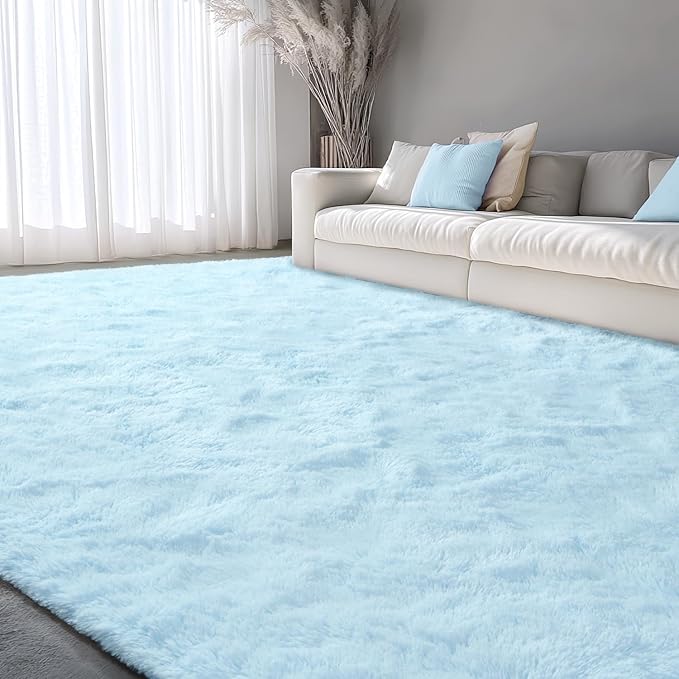 EVOIONOS Ultra Soft Area Rug for Bedroom, 4x6 Machine Washable Fluffy Shag Rug for Living Room, Plush Non Slip Carpet Indoor Floor Bedside Nursery Kids Girls Room Dorm, Home Decor Aesthetic Light Blue