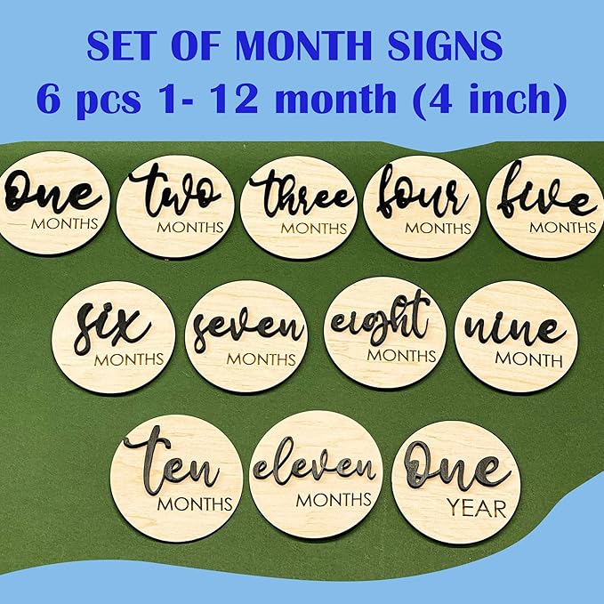 Baby Monthly Milestone, Wooden Baby Milestone Signs, Monthly Milestone Wood Discs, Baby Milestone Discs (S001)