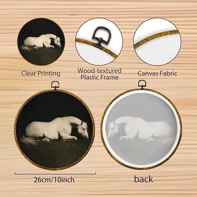 Hiuwevt Vintage White Horse Round Wall Art Decor, Horse Gifts for Women Wall Framed Canvas Prints, Moody Dark Academia Animal Round Hanging Decor for Bedroom Living Room Decorations, 10x10 Inches
