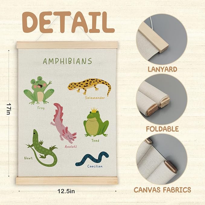 SereneHanctuary Amphibian Animal Wall Art, Animal Nursery Wall Decor, Boho Amphibians Educational Poster Hanger Frame for Toddler Kids Bedroom Nursery Playroom Classroom Decor, 12x16 Inches