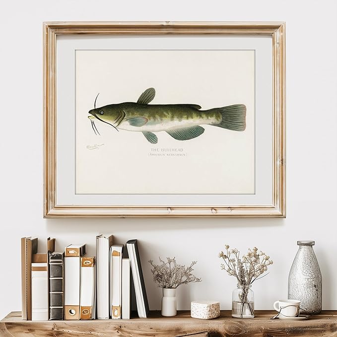 DREAM BIG PRINTABLES Fish Wall Art Prints (Set of 6) - Unframed - 8x10s | Vintage Fishing Decor - Midwest Fish Species - Great Gift for Fisherman