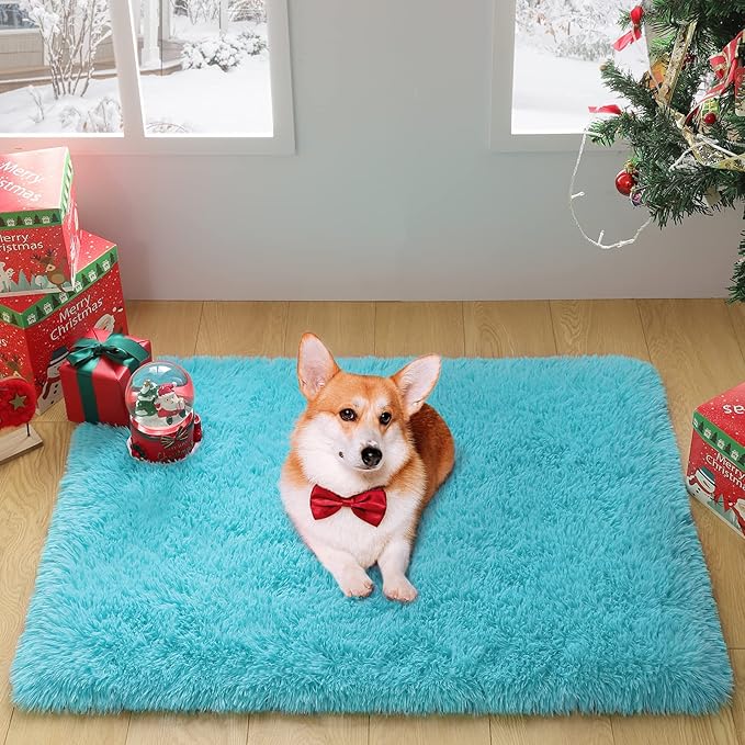 Merelax Modern Soft Fluffy Small Shaggy Rug for Bedroom Livingroom Dorm Kids Room Indoor Home Decorative, Non-Slip Plush Furry Fur Area Rugs Comfy Nursery Accent Floor Carpet 2x3 Feet, Teal