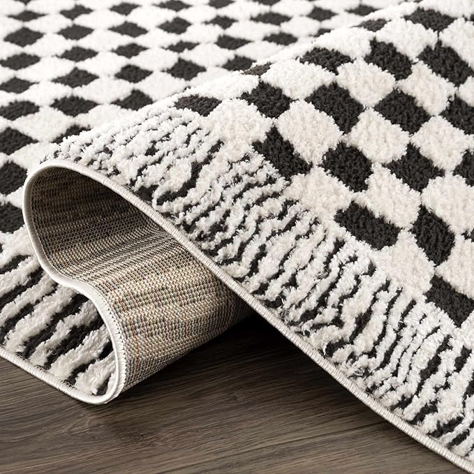 Hauteloom Leryn Contemporary Checkered Area Rug - Modern Geometric Bordered Carpet for Living Room, Bedroom, Dining Room - Checkboard Design - Square Tiles - High Pile - Black and White - 8'10" x 12'