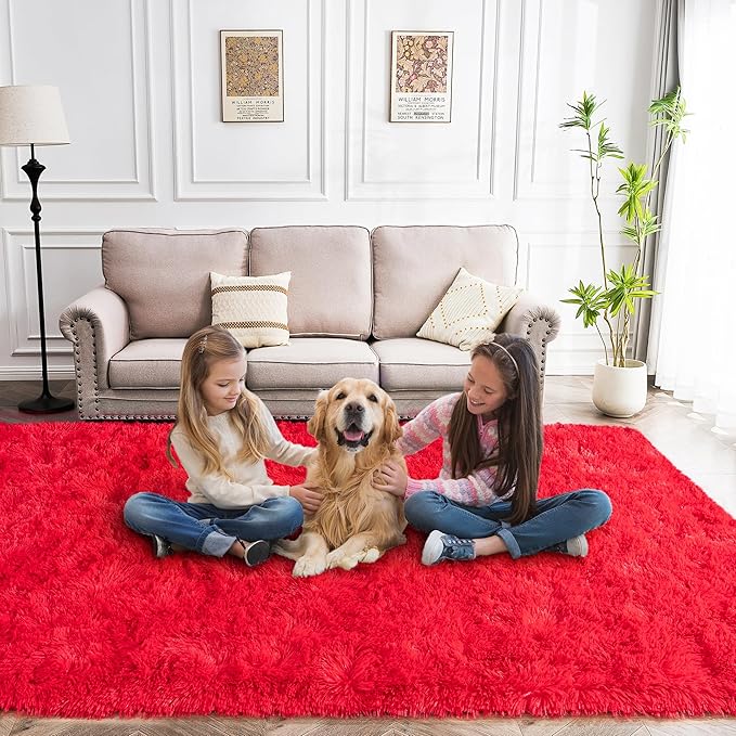Area Rug 6x9 for Living Room Anti Slip - Fluffy Rug for Bedroom Washable - 6 by 9 Carpet Fuzzy Rugs Indoor Red
