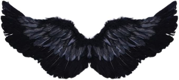 Angel Feather Wings, Lightweight Carnival Costume with Elastic Straps, Bright Color Cosplay Photography Props