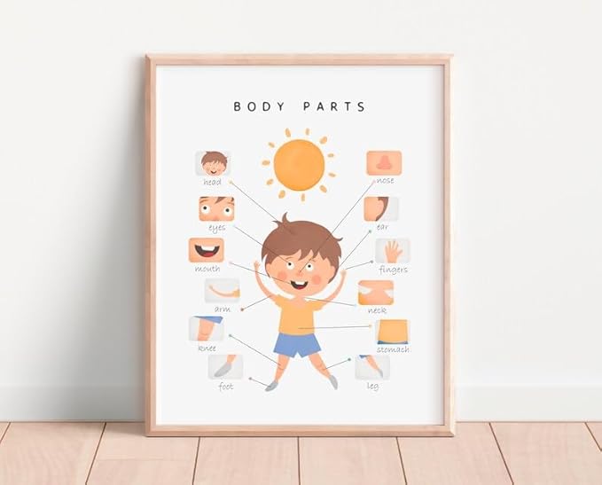OZCONO Body Parts Poster for Kids Learning, Educational Classroom Wall Chart for Preschool, Toddler, Montessori Nursery Teaching Resource (Unframed) (16x24)