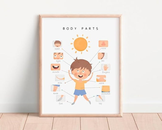 OZCONO Body Parts Poster for Kids Learning, Educational Classroom Wall Chart for Preschool, Toddler, Montessori Nursery Teaching Resource (Unframed) (24x36)