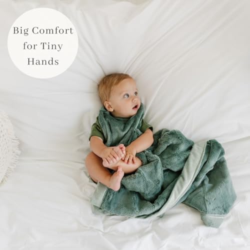 SARANONI Luxury Receiving Blankets for Babies | Ultra-Soft Lush and Boutique Quality Baby Blanket | Eucalyptus - 40” x 30”