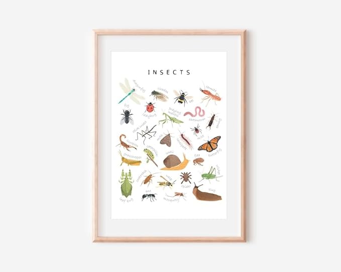 OZCONO Educational Insects Poster, Bugs Learning Chart Kids, Classroom Wall Decor Art, Montessori Homeschool Aid (Unframed) (20x30)