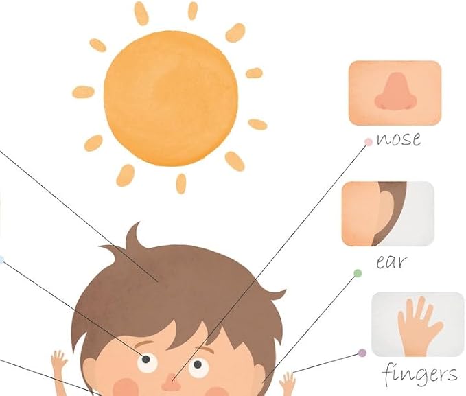 OZCONO Body Parts Poster for Kids Learning, Educational Classroom Wall Chart for Preschool, Toddler, Montessori Nursery Teaching Resource (Unframed) (9x11)