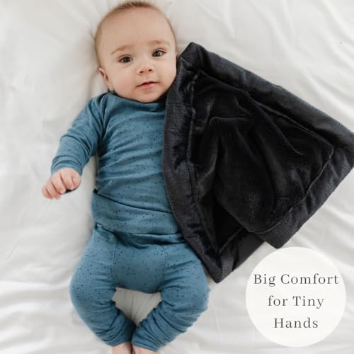 SARANONI Luxury Security Blankets for Babies | Ultra-Soft Lush and Boutique Quality Baby Blanket | Perfect for Infants & Newborns | Charcoal, Mini - 15" x 20"