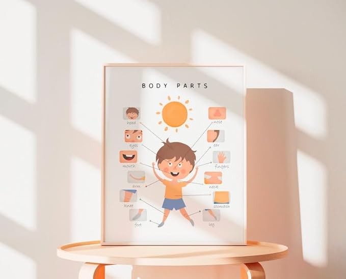 OZCONO Body Parts Poster for Kids Learning, Educational Classroom Wall Chart for Preschool, Toddler, Montessori Nursery Teaching Resource (Unframed) (11x14)