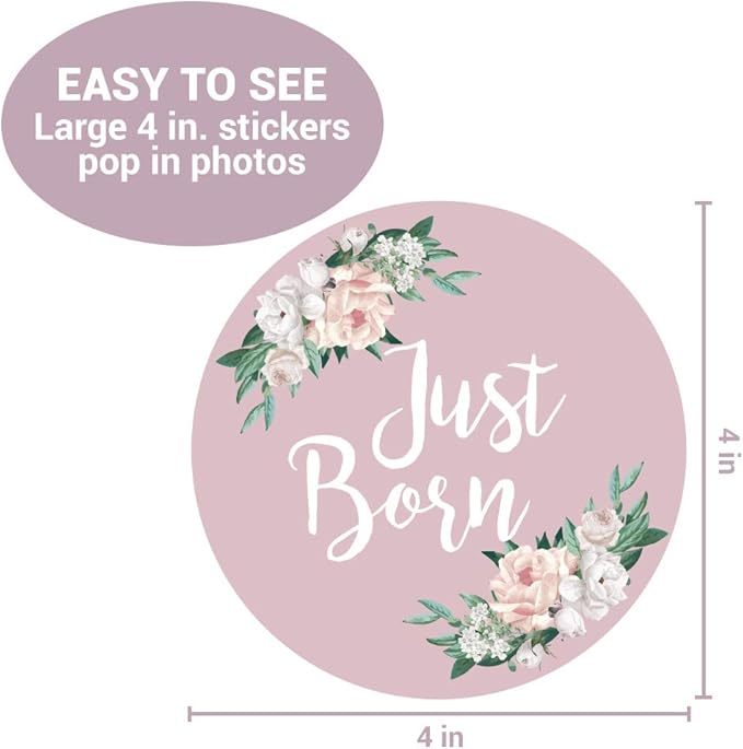 Baby Monthly Stickers - Set of 24 - Floral Baby Girl Milestone Stickers - Perfect for Newborn Girls - Month to Month Milestones - Purple Mauve Floral Design (Set of 24)
