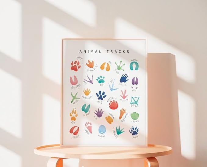 OZCONO Animal Tracks Learning Poster, Vibrant Wildlife Chart Kids, Preschool Wall Decor Art, Homeschool Education Guide (Unframed) (11x14)
