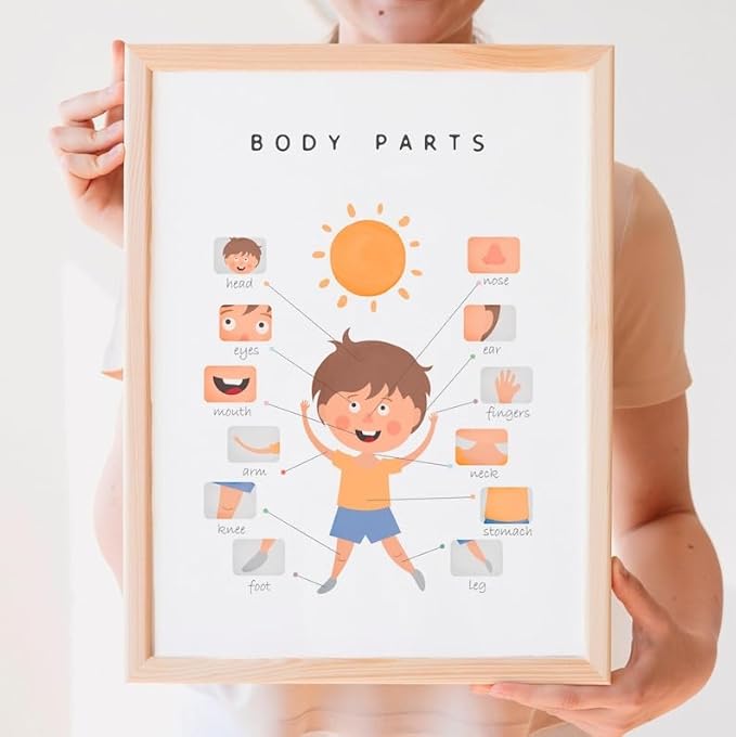 OZCONO Body Parts Poster for Kids Learning, Educational Classroom Wall Chart for Preschool, Toddler, Montessori Nursery Teaching Resource (Unframed) (11x14)