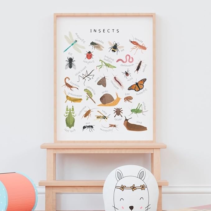 OZCONO Educational Insects Poster, Bugs Learning Chart Kids, Classroom Wall Decor Art, Montessori Homeschool Aid (Unframed) (11x14)