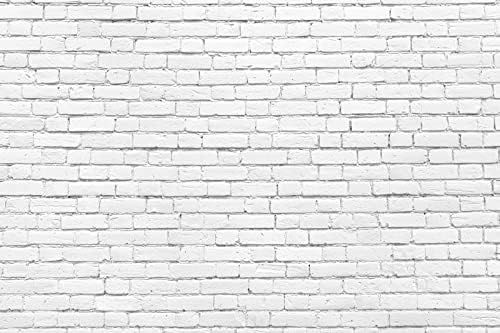 Vinyl 20x10ft Vintage White Brick Wall Photo Backdrop for Photography Newborn Baby Shower Girls Adults Portrait Photography Background Wallpaper Photo Studio Props