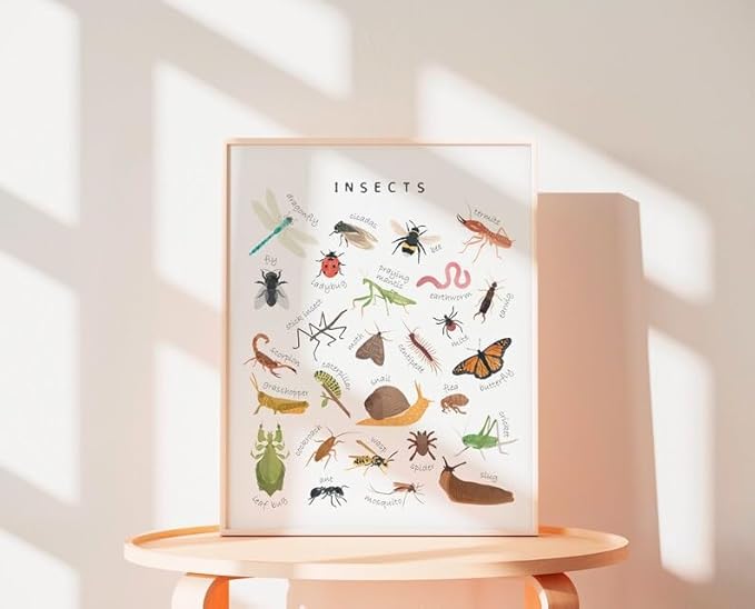 OZCONO Educational Insects Poster, Bugs Learning Chart Kids, Classroom Wall Decor Art, Montessori Homeschool Aid (Unframed) (27x40)