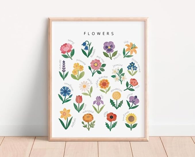 OZCONO Flowers Learning Poster, Vibrant Nature Chart Kids, Preschool Wall Decor Art, Homeschool Education Guide (Unframed) (20x30)