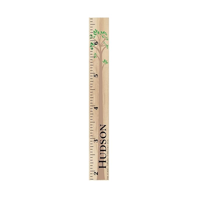 Wooden Kids Growth Height Chart Ruler for Boys and Girls Painted (The Hudson) by Back40Life