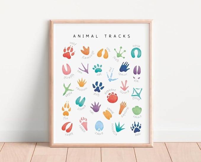OZCONO Animal Tracks Learning Poster, Vibrant Wildlife Chart Kids, Preschool Wall Decor Art, Homeschool Education Guide (Unframed) (24x36)