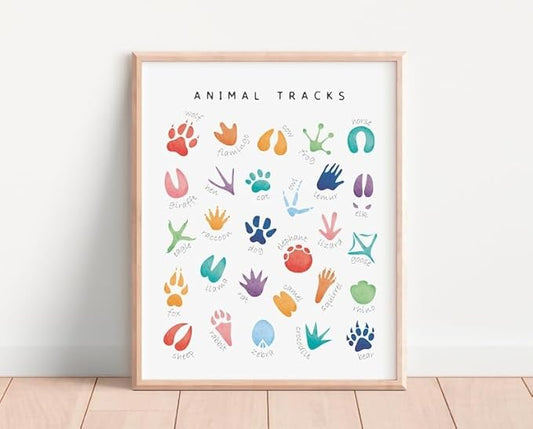 OZCONO Animal Tracks Learning Poster, Vibrant Wildlife Chart Kids, Preschool Wall Decor Art, Homeschool Education Guide (Unframed) (11x14)