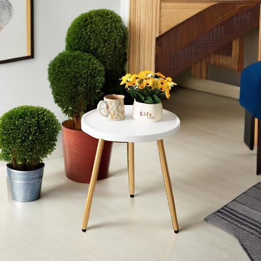 danpinera Nursery Side Table, Metal Legged Mini Table with Wooden Tray, Small Round End Table for Living Room, Bedroom, Nursery, White & Gold