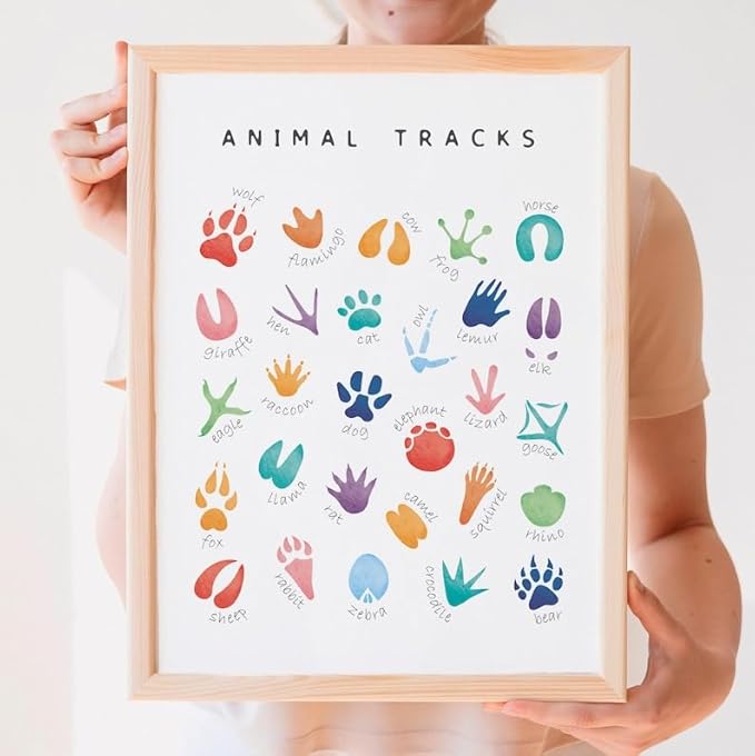 OZCONO Animal Tracks Learning Poster, Vibrant Wildlife Chart Kids, Preschool Wall Decor Art, Homeschool Education Guide (Unframed) (27x40)