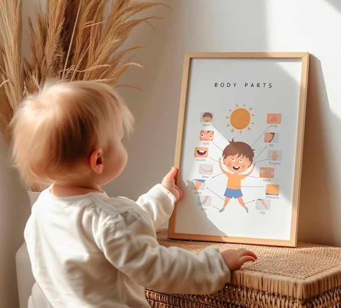 OZCONO Body Parts Poster for Kids Learning, Educational Classroom Wall Chart for Preschool, Toddler, Montessori Nursery Teaching Resource (Unframed) (12x18)