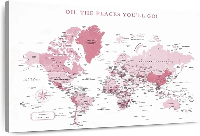 ElephantStock - Places You'll Go Push Pin World Map Wall Art - Horizontal Canvas Wall Art - Living Room Wall Decor - Digital Art Map Canvas Art - White And Pink Decor - 12" x 8"