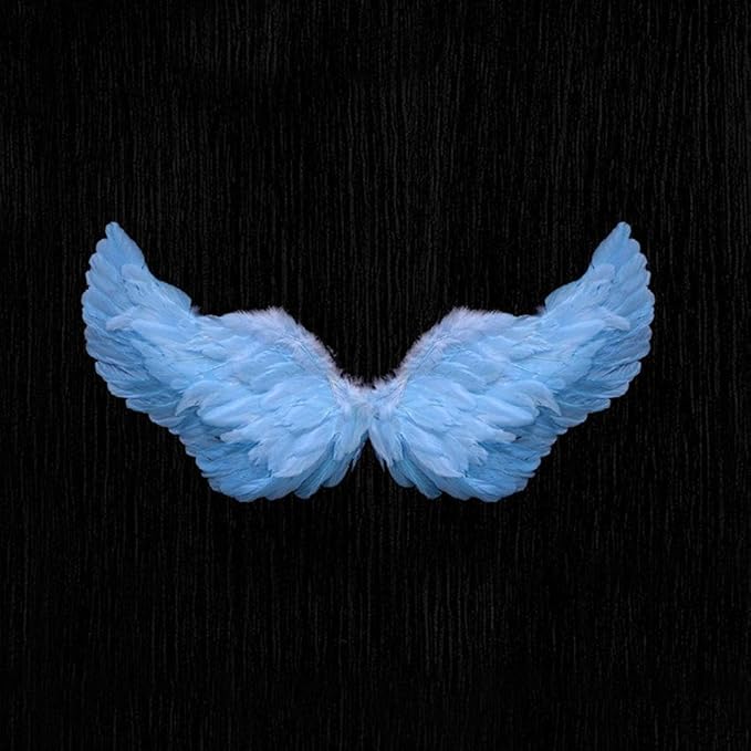 Angel Feather Wings, Lightweight Carnival Costume with Elastic Straps, Bright Color Cosplay Photography Props