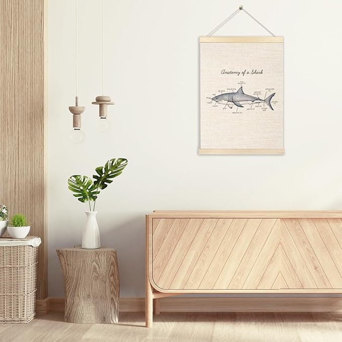 Ecezatik Anatomy of a Shark Poster Hanger Frame, Shark Wall Art, Shark Hanging Wall Decor for Classroom Nursery Boys Room, Beach Room Decor, Coastal Home Decor, Shark Gifts for Shark Lovers