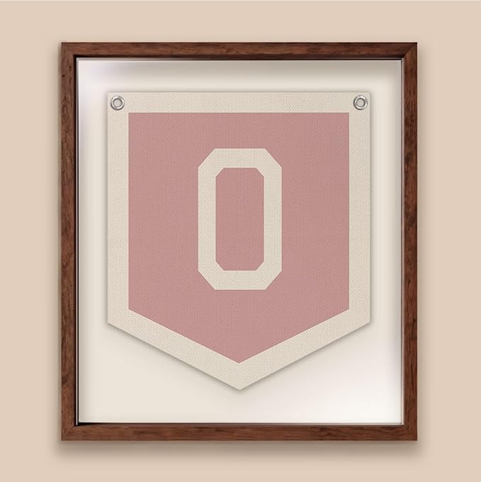 Lacama Pink Initial Personalized Preppy Banner, Baby Shower Decor Gifts, Wall Decor for Women Teen Girl, Vintage Room Decor Toddler Room Bedroom Playroom Front Door Birthday Gift(O)