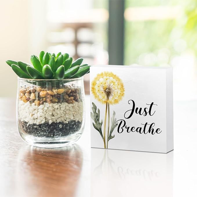 Secret Santa Gifts Just Breathe Decorative Wooden Box Sign, dandelion Inspirational Quotes Deco Rustic Farmhouse Home Office Shelf Table Decorations Wood Block Plaque
