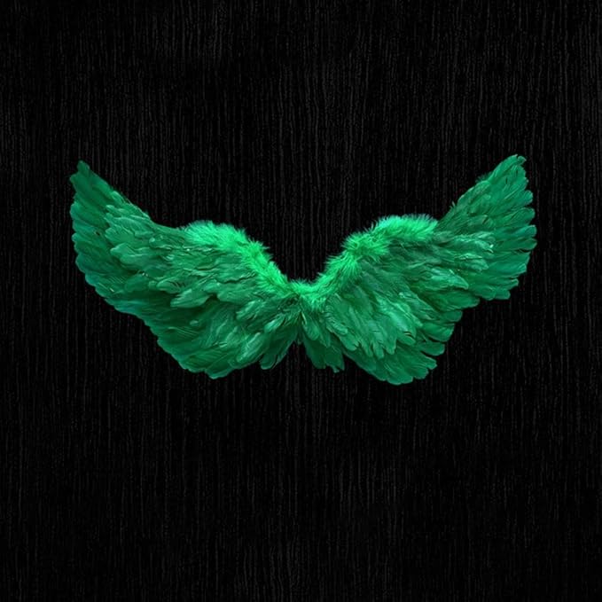 Angel Feather Wings, Lightweight Carnival Costume with Elastic Straps, Bright Color Cosplay Photography Props