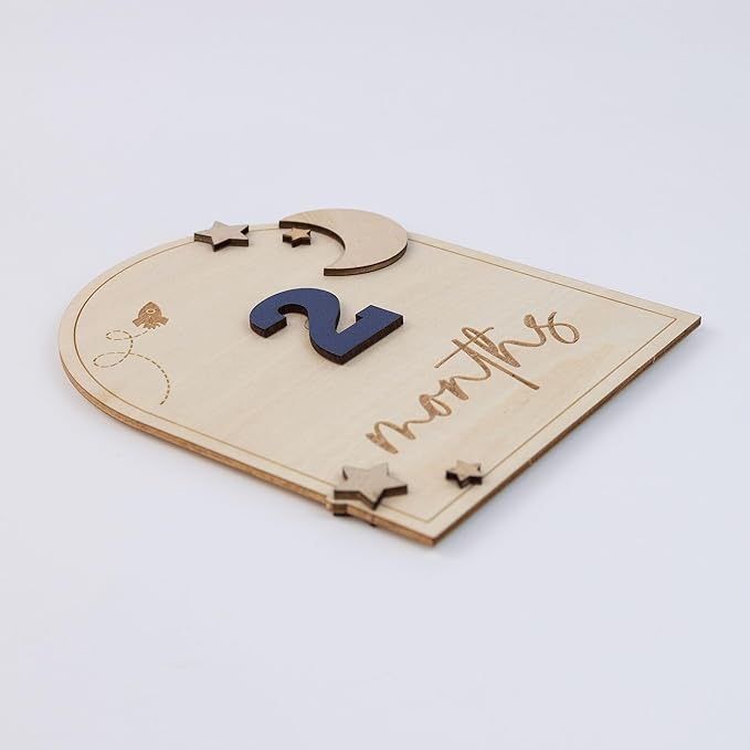Wooden 3D Baby Monthly Milestone Cards Monthly Milestone Discs Newborn Photography Props Baby Announcement Sign Baby (Moon)
