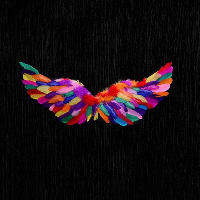 Angel Feather Wings, Lightweight Carnival Costume with Elastic Straps, Bright Color Cosplay Photography Props