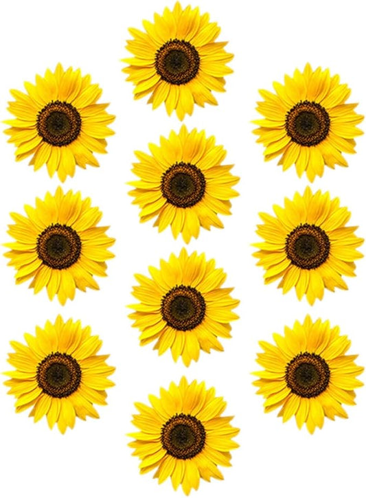 Floral Sunflower Wall Sticker Peel and Stick Flower Pattern Decal for Living Bedroom Nursery Easy to Apply and Remove Home Decoration Tear-Resistant Self-Adhesive Wallpaper