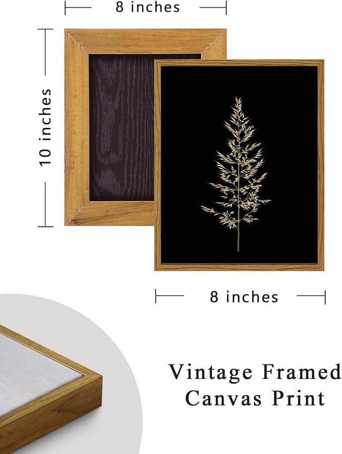 ARPEOTCY Vintage Framed Botanical Wall Art, Bedroom Bathroom Reed Grass Dark Black Art Decor, Canvas Print Retro Paintings, Home Neutral Farmhouse Fall Moody Decor, 8x10 Inch