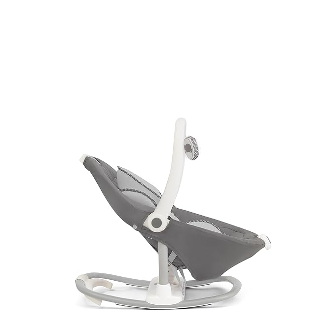 Joie Cinnamon 2-in-1 Glider and Rocker – Multi-Motion Baby Swing and Rocker Combo with Plush Fabrics, Compact Design, and Multiple Recline Positions – Soothing Sounds & Gentle Vibrations (Frankie)
