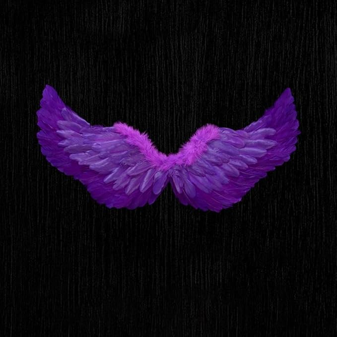 Angel Feather Wings, Lightweight Carnival Costume with Elastic Straps, Bright Color Cosplay Photography Props