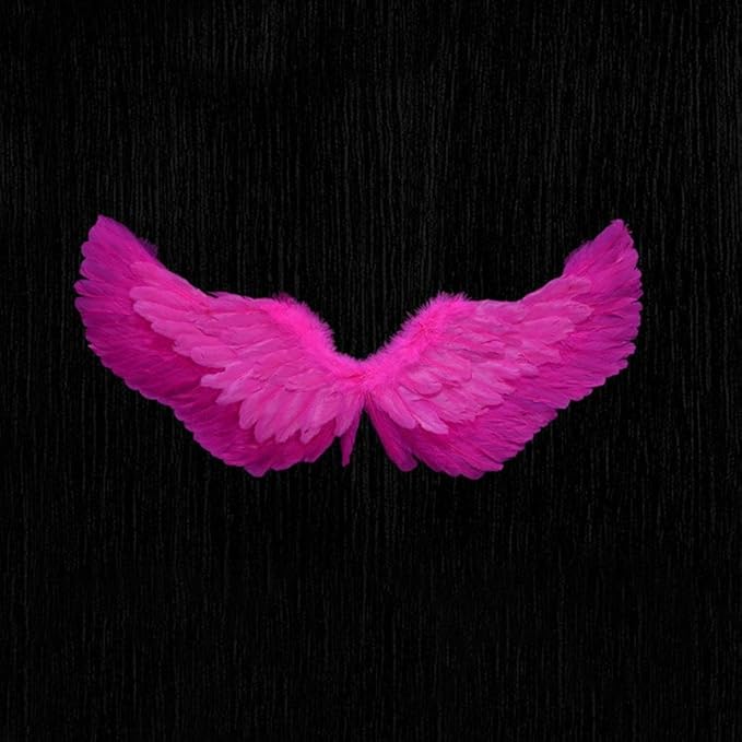 Angel Feather Wings, Lightweight Carnival Costume with Elastic Straps, Bright Color Cosplay Photography Props
