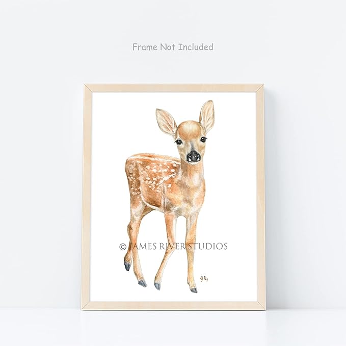 James River Studios Woodland Animal Nursery Prints Unframed Set of 4, Pick Your Baby Animals and Print Size, Original Watercolor Art Signed By Artist