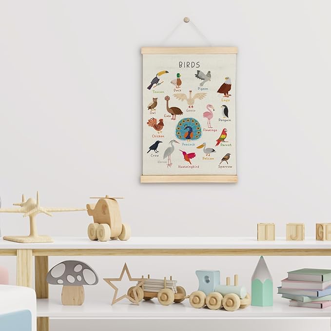 SereneHanctuary Bird Wall Art, Boho Educational Nursery Wall Decor, Birds Animal Poster Hanger Frame for Toddler Kids Room Bedroom Nursery Playroom Classroom Decor,12x16 Inches