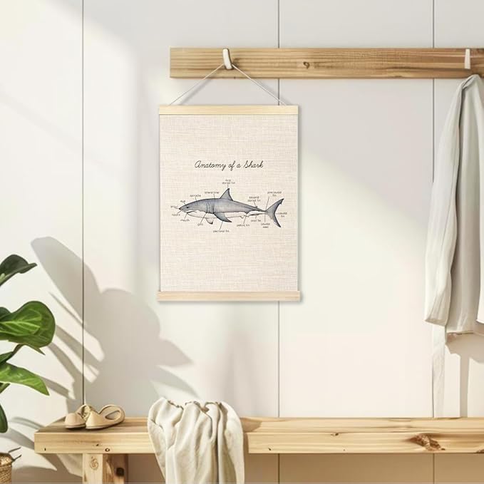 Ecezatik Anatomy of a Shark Poster Hanger Frame, Shark Wall Art, Shark Hanging Wall Decor for Classroom Nursery Boys Room, Beach Room Decor, Coastal Home Decor, Shark Gifts for Shark Lovers