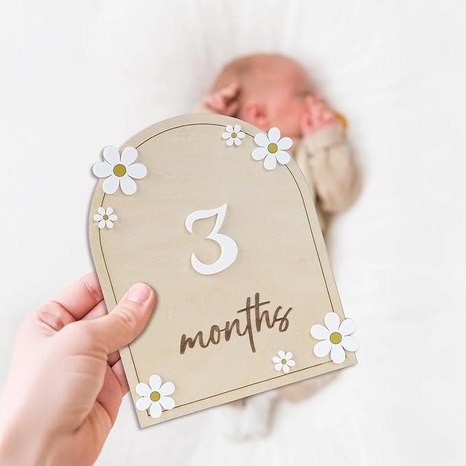 Wooden 3D Baby Monthly Milestone Cards Monthly Milestone Discs Newborn Photography Props Baby Announcement Sign Baby (Daisy)